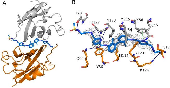 https://cdn.ncbi.nlm.nih.gov/pmc/blobs/1b6a/11181486/de833f278559/ml4c00042_0011.jpg
