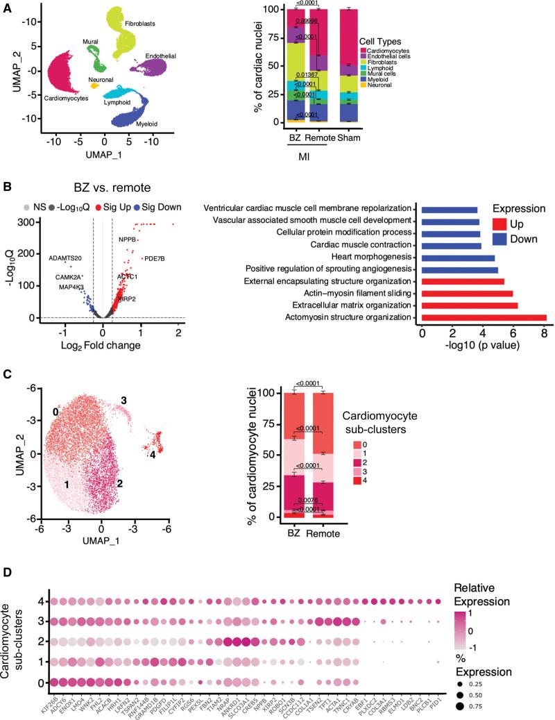 https://cdn.ncbi.nlm.nih.gov/pmc/blobs/1b6b/10187631/746bc8f9ece9/hae-16-e011677-g006.jpg
