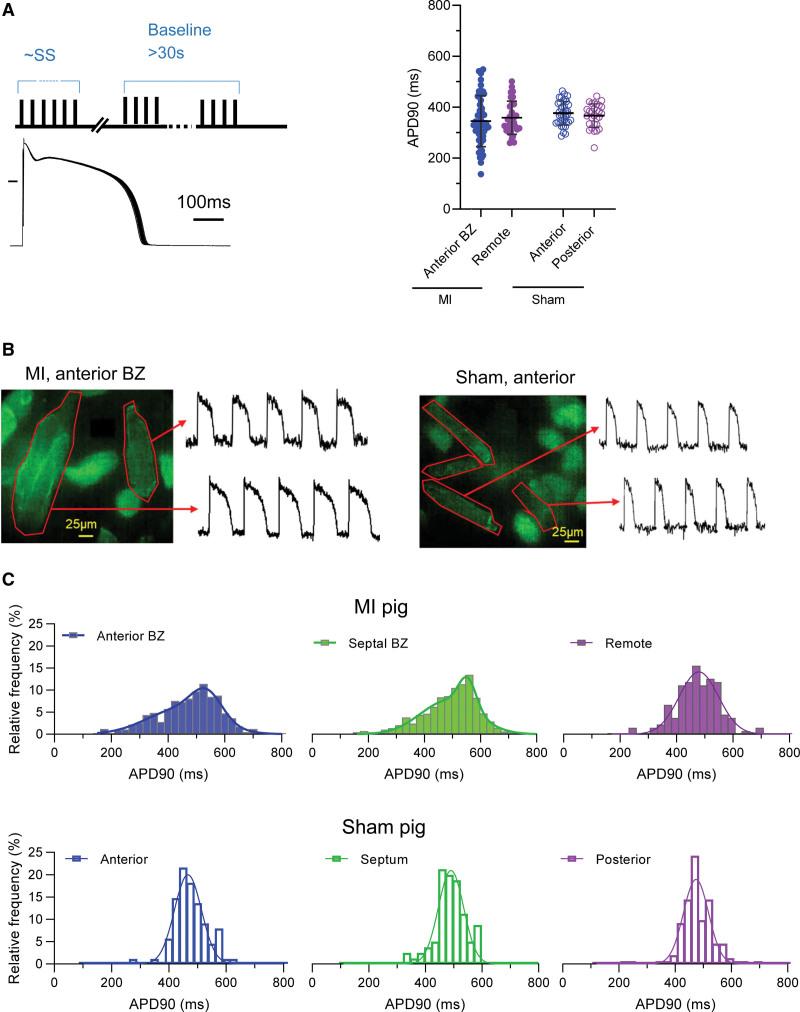 https://cdn.ncbi.nlm.nih.gov/pmc/blobs/1b6b/10187631/973ad04a1591/hae-16-e011677-g003.jpg