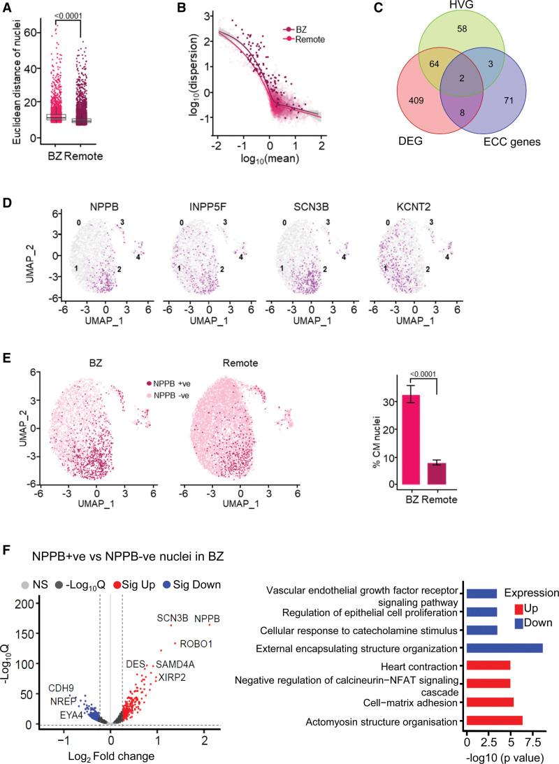https://cdn.ncbi.nlm.nih.gov/pmc/blobs/1b6b/10187631/eb9061a8b020/hae-16-e011677-g007.jpg