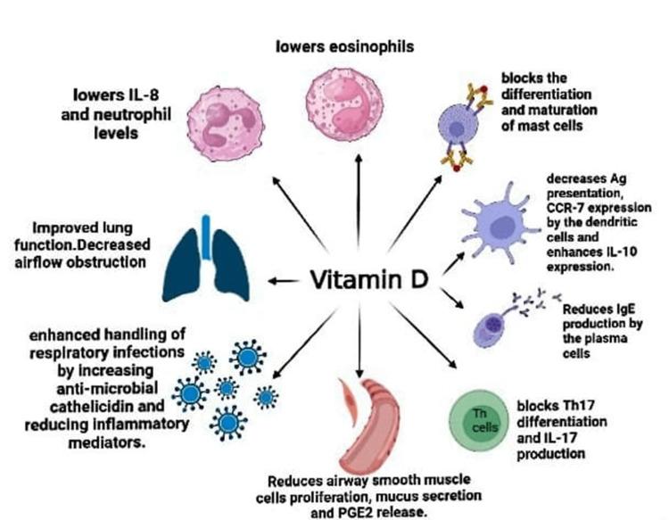 https://cdn.ncbi.nlm.nih.gov/pmc/blobs/1b6c/10425698/0806d0ebe26b/cureus-0015-00000041956-i01.jpg