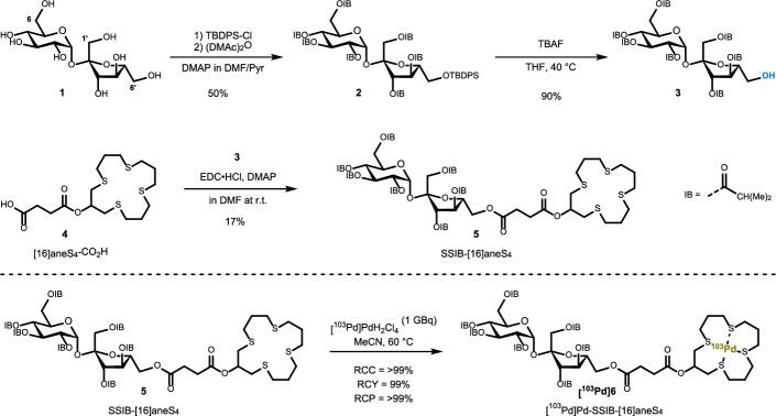 https://cdn.ncbi.nlm.nih.gov/pmc/blobs/1b6c/11685337/dff19ee58751/41181_2024_309_Sch1_HTML.jpg