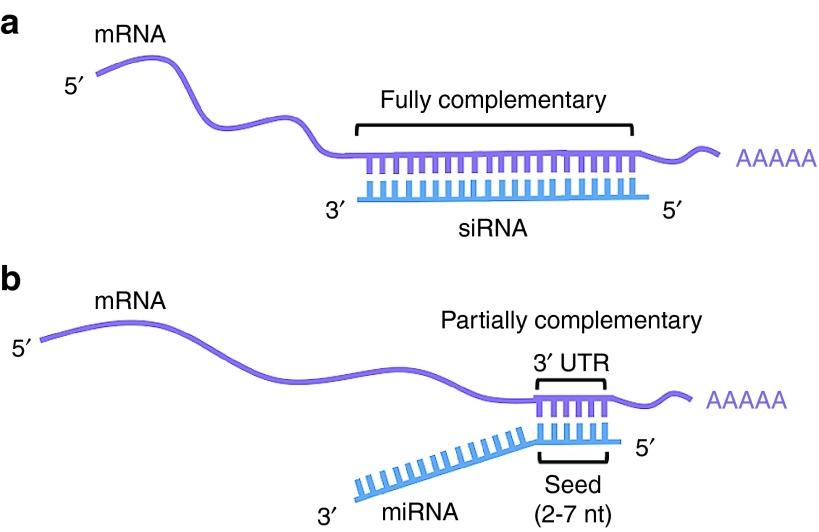 https://cdn.ncbi.nlm.nih.gov/pmc/blobs/1b6e/4877448/91f86a4a6454/mtna201523f2.jpg