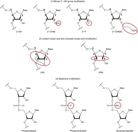 https://cdn.ncbi.nlm.nih.gov/pmc/blobs/1b6e/4877448/c12ba2a59b7f/mtna201523f3.jpg