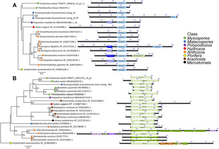 https://cdn.ncbi.nlm.nih.gov/pmc/blobs/1b6e/8684318/a3cd23cd5b1a/peerj-09-12606-g004.jpg