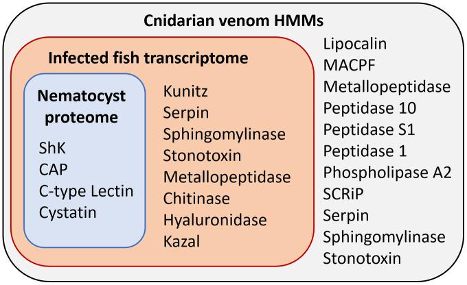 https://cdn.ncbi.nlm.nih.gov/pmc/blobs/1b6e/8684318/d72b6587d4a5/peerj-09-12606-g003.jpg