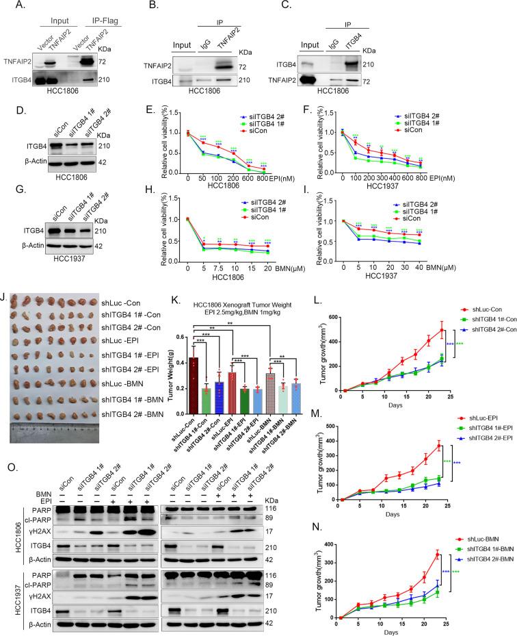 https://cdn.ncbi.nlm.nih.gov/pmc/blobs/1b6f/10547475/039a6523156a/elife-88483-fig5.jpg