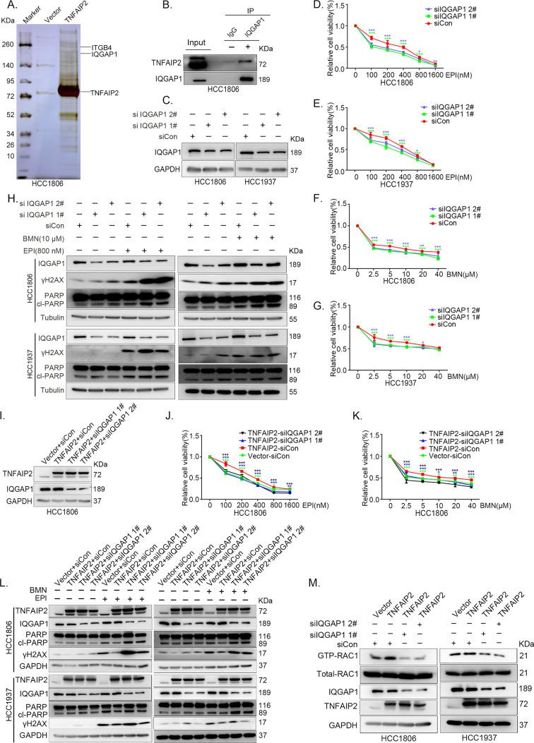 https://cdn.ncbi.nlm.nih.gov/pmc/blobs/1b6f/10547475/0456f23f76a5/elife-88483-fig4.jpg