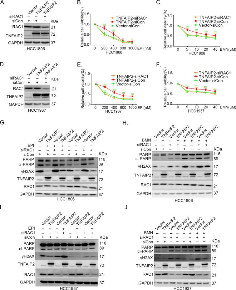https://cdn.ncbi.nlm.nih.gov/pmc/blobs/1b6f/10547475/4c290dc4a377/elife-88483-fig3.jpg