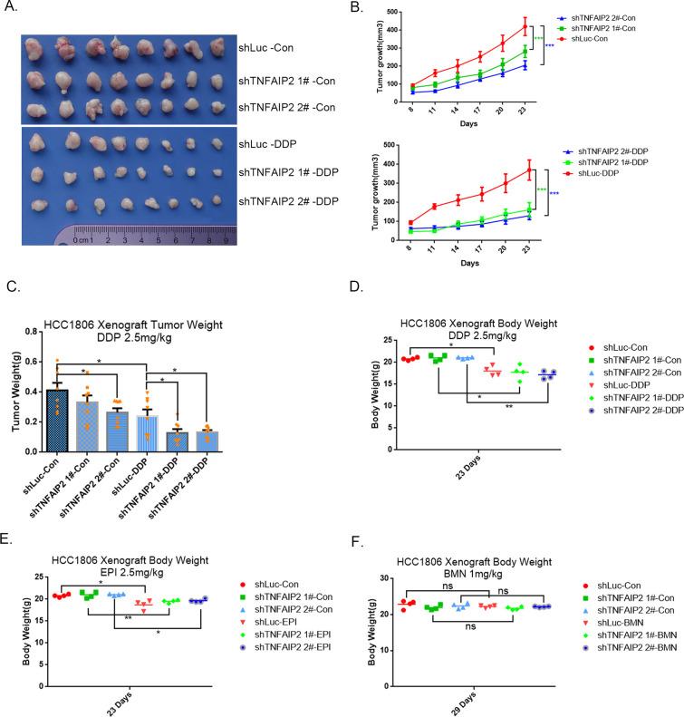 https://cdn.ncbi.nlm.nih.gov/pmc/blobs/1b6f/10547475/4f5014c2429a/elife-88483-fig2-figsupp1.jpg