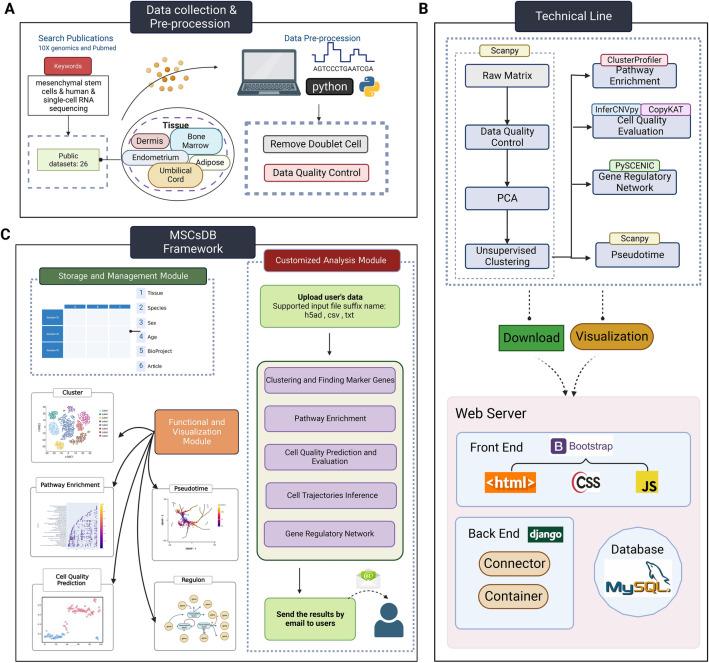 https://cdn.ncbi.nlm.nih.gov/pmc/blobs/1b6f/10919002/d694af01ab17/40164_2024_496_Fig1_HTML.jpg