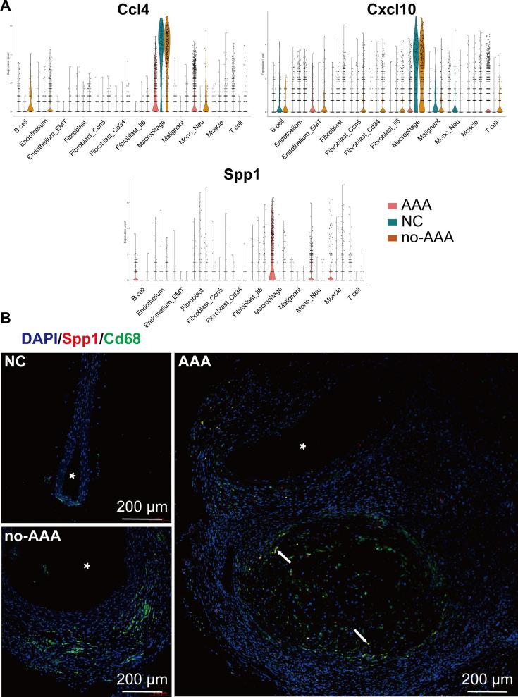 https://cdn.ncbi.nlm.nih.gov/pmc/blobs/1b70/12203967/3cbd0243e9f1/BSR-45-05-BSR20241235-g004.jpg