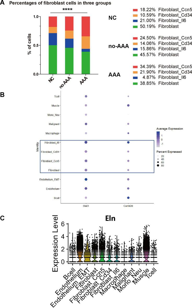 https://cdn.ncbi.nlm.nih.gov/pmc/blobs/1b70/12203967/9a97d98e9e77/BSR-45-05-BSR20241235-g005.jpg