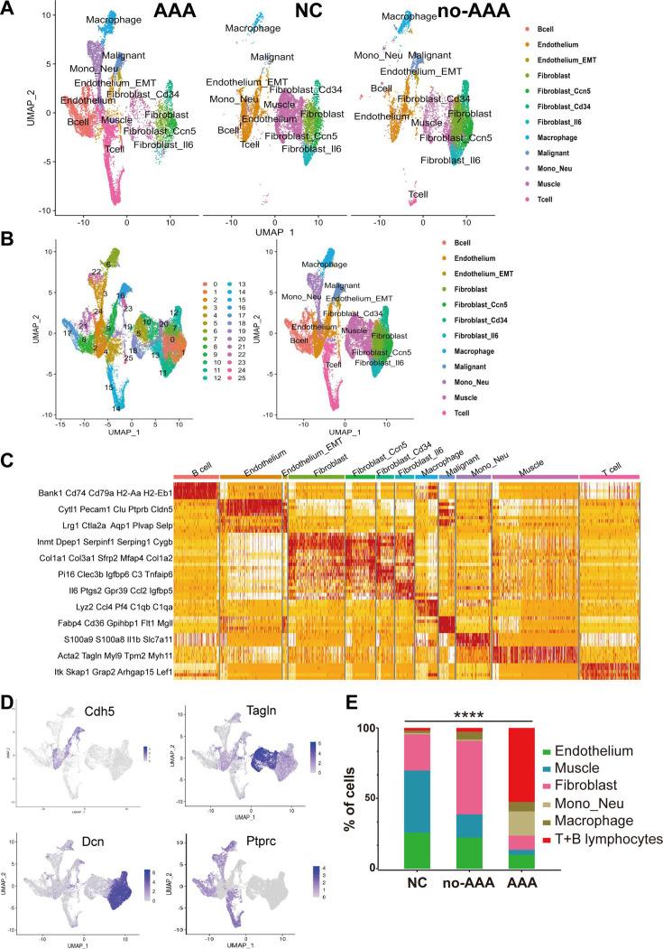 https://cdn.ncbi.nlm.nih.gov/pmc/blobs/1b70/12203967/a25a98f026b4/BSR-45-05-BSR20241235-g002.jpg