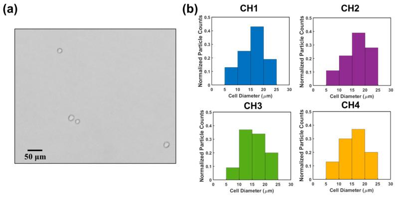 https://cdn.ncbi.nlm.nih.gov/pmc/blobs/1b71/10377334/8b8af1a17829/biosensors-13-00721-g007.jpg