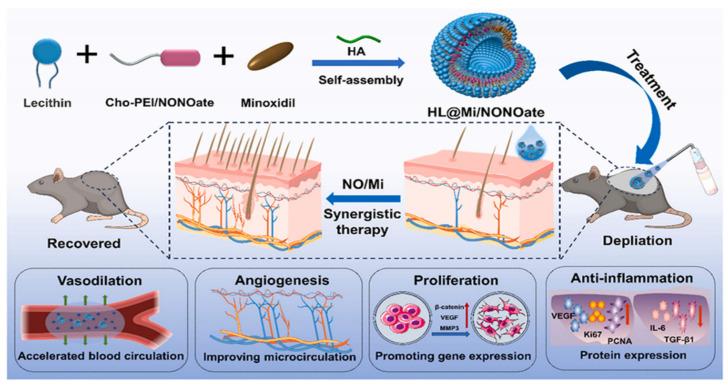 https://cdn.ncbi.nlm.nih.gov/pmc/blobs/1b71/12389719/c3f27f77f99b/pharmaceutics-17-00984-g004.jpg