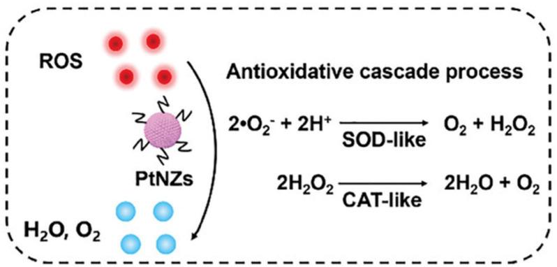 https://cdn.ncbi.nlm.nih.gov/pmc/blobs/1b71/12389719/d178d79643c1/pharmaceutics-17-00984-g002.jpg