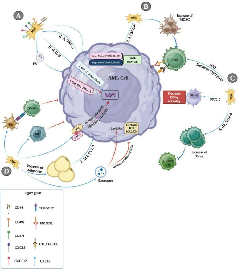 https://cdn.ncbi.nlm.nih.gov/pmc/blobs/1b74/12181099/d02c46560ffb/432_2025_6244_Fig1_HTML.jpg