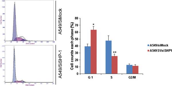 https://cdn.ncbi.nlm.nih.gov/pmc/blobs/1b74/3723552/9e13bbcd4306/1748-717X-8-178-8.jpg