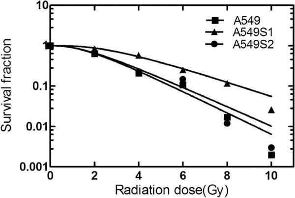 https://cdn.ncbi.nlm.nih.gov/pmc/blobs/1b74/3723552/bbdd21d0c234/1748-717X-8-178-2.jpg