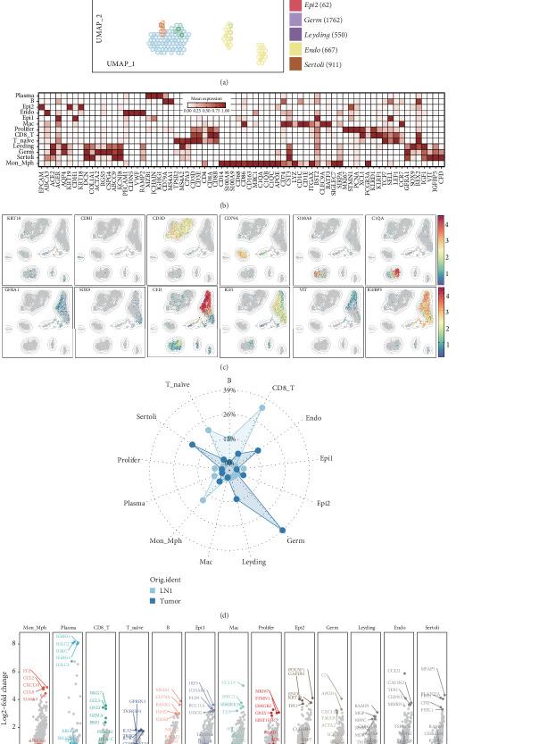 https://cdn.ncbi.nlm.nih.gov/pmc/blobs/1b75/12048191/8207165cfe0b/IJG2025-3530098.001.jpg