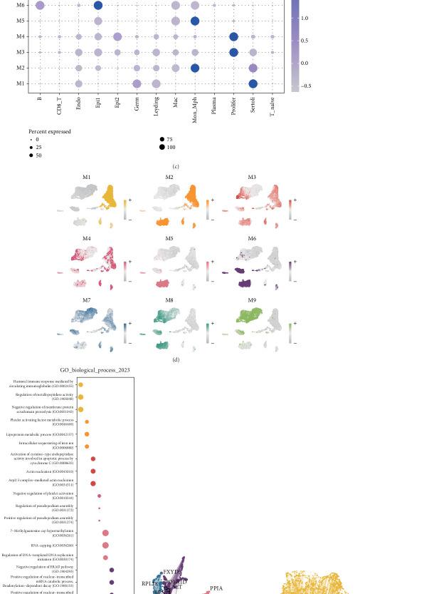 https://cdn.ncbi.nlm.nih.gov/pmc/blobs/1b75/12048191/f2f4384709cb/IJG2025-3530098.002.jpg