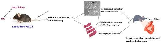 https://cdn.ncbi.nlm.nih.gov/pmc/blobs/1b76/10286679/1ab6c595b1b6/YRER_A_2224607_UF0001_OC.jpg