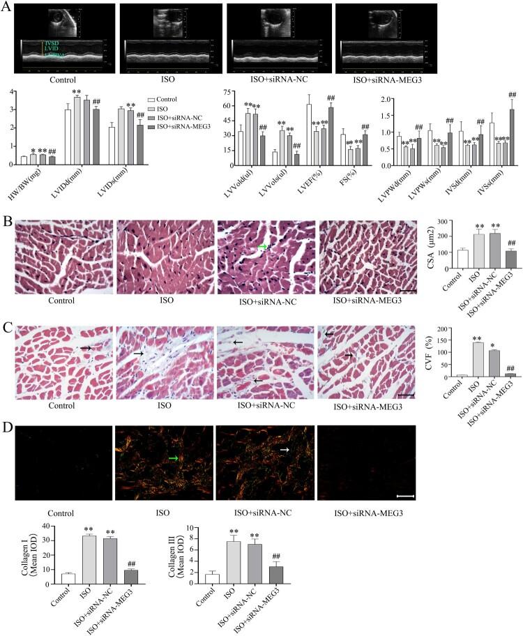 https://cdn.ncbi.nlm.nih.gov/pmc/blobs/1b76/10286679/1d64b9ffb2ef/YRER_A_2224607_F0001_OC.jpg