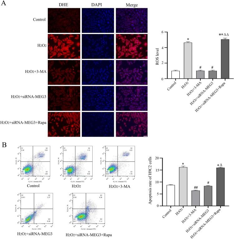 https://cdn.ncbi.nlm.nih.gov/pmc/blobs/1b76/10286679/5f224731259c/YRER_A_2224607_F0007_OC.jpg