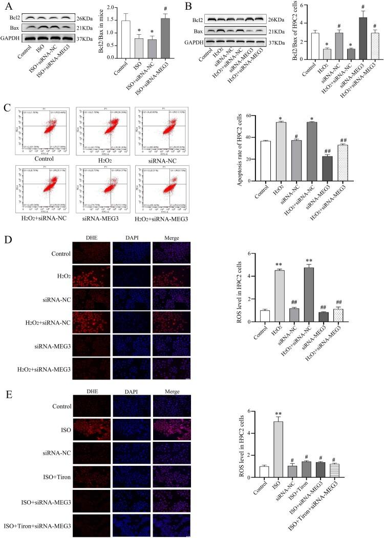 https://cdn.ncbi.nlm.nih.gov/pmc/blobs/1b76/10286679/70851575bd3e/YRER_A_2224607_F0003_OC.jpg