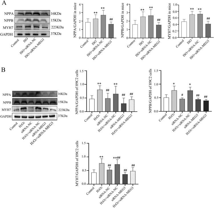 https://cdn.ncbi.nlm.nih.gov/pmc/blobs/1b76/10286679/a9091c860df5/YRER_A_2224607_F0002_OB.jpg