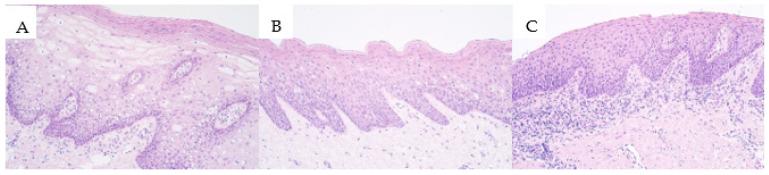 https://cdn.ncbi.nlm.nih.gov/pmc/blobs/1b76/8540985/2c4f061d7f29/medicina-57-01075-g001.jpg