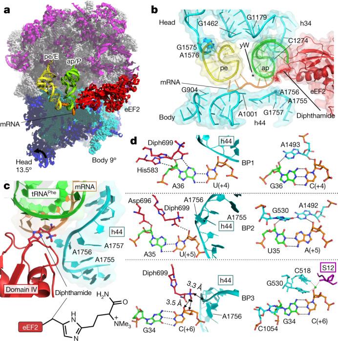 https://cdn.ncbi.nlm.nih.gov/pmc/blobs/1b76/8674143/54c84cb94fbe/41586_2021_4131_Fig1_HTML.jpg