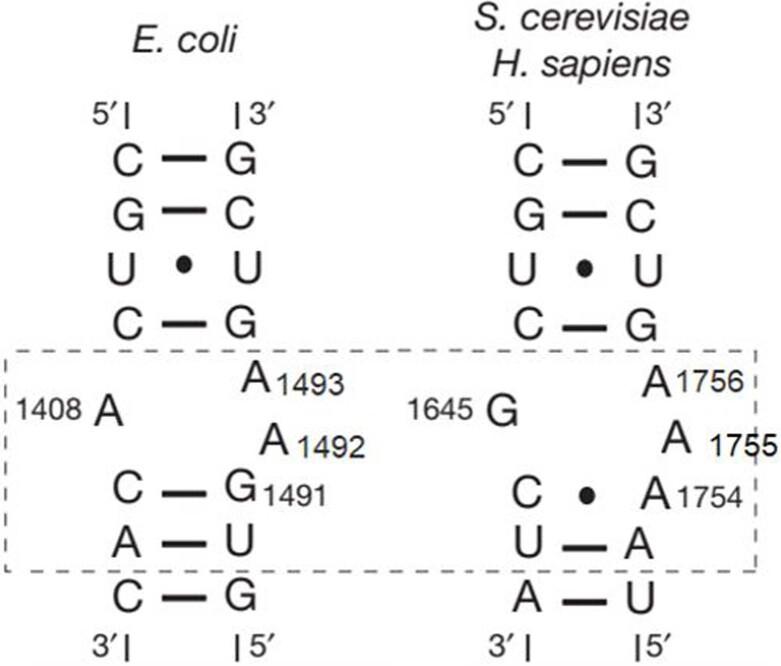 https://cdn.ncbi.nlm.nih.gov/pmc/blobs/1b76/8674143/8a6a4aa856cf/41586_2021_4131_Fig10_ESM.jpg