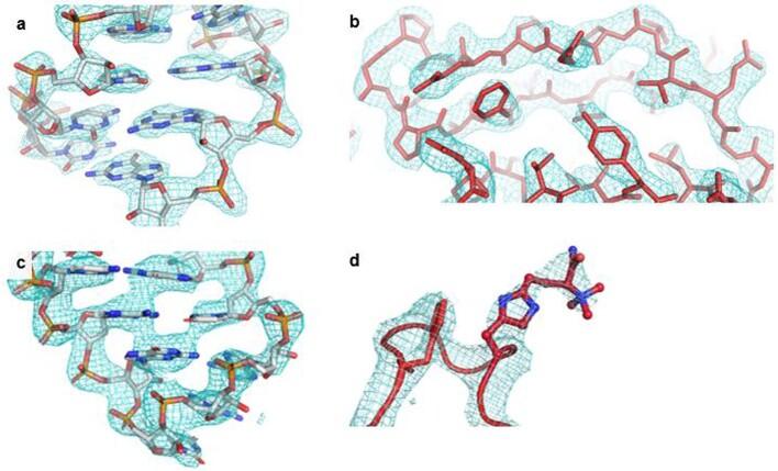 https://cdn.ncbi.nlm.nih.gov/pmc/blobs/1b76/8674143/8c079132ad44/41586_2021_4131_Fig4_ESM.jpg