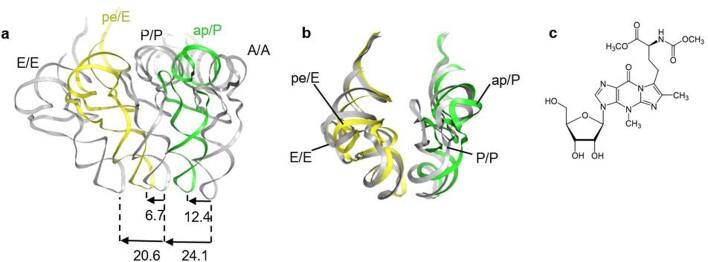 https://cdn.ncbi.nlm.nih.gov/pmc/blobs/1b76/8674143/b1d0f78ee337/41586_2021_4131_Fig5_ESM.jpg