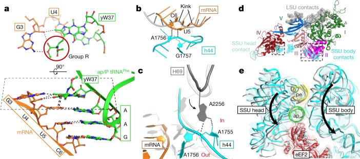 https://cdn.ncbi.nlm.nih.gov/pmc/blobs/1b76/8674143/b9afbea2b47e/41586_2021_4131_Fig2_HTML.jpg