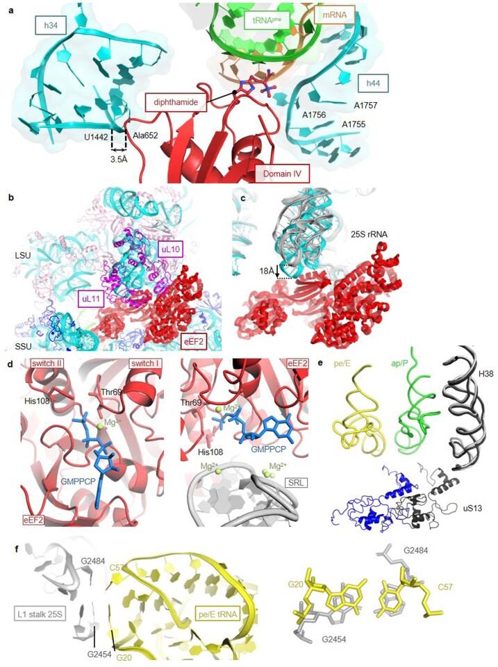 https://cdn.ncbi.nlm.nih.gov/pmc/blobs/1b76/8674143/c4b53f093f9c/41586_2021_4131_Fig9_ESM.jpg