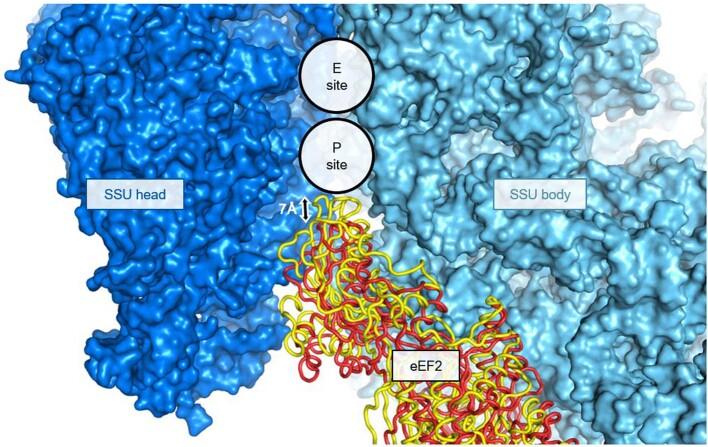 https://cdn.ncbi.nlm.nih.gov/pmc/blobs/1b76/8674143/e8438bb374e2/41586_2021_4131_Fig6_ESM.jpg
