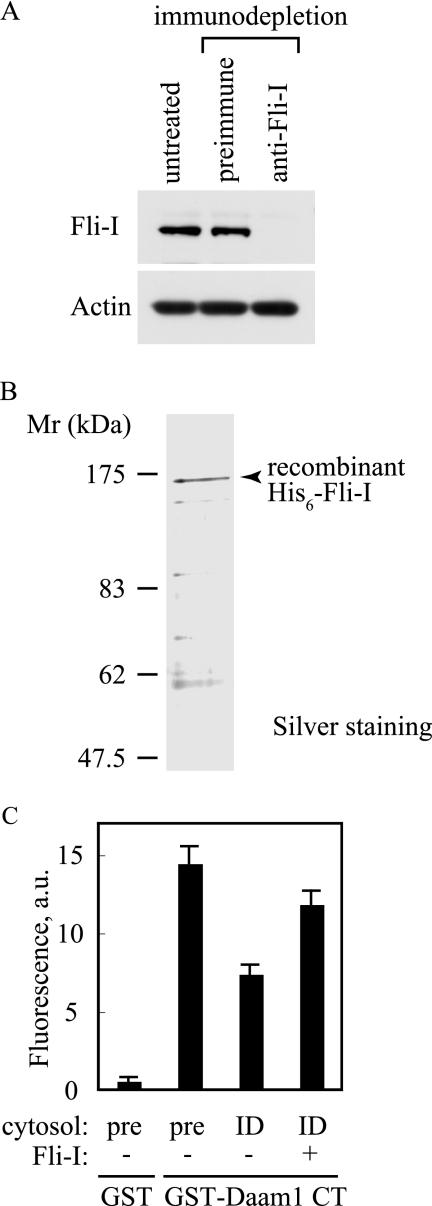https://cdn.ncbi.nlm.nih.gov/pmc/blobs/1b78/2871490/2108e5423c25/zbc0221015960003.jpg
