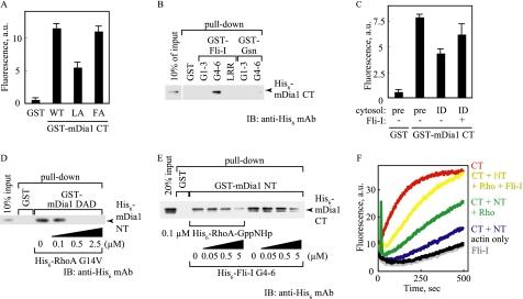 https://cdn.ncbi.nlm.nih.gov/pmc/blobs/1b78/2871490/8894aa206bdc/zbc0221015960007.jpg