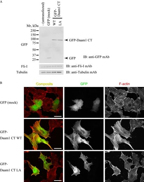 https://cdn.ncbi.nlm.nih.gov/pmc/blobs/1b78/2871490/b1c20ae721bf/zbc0221015960004.jpg