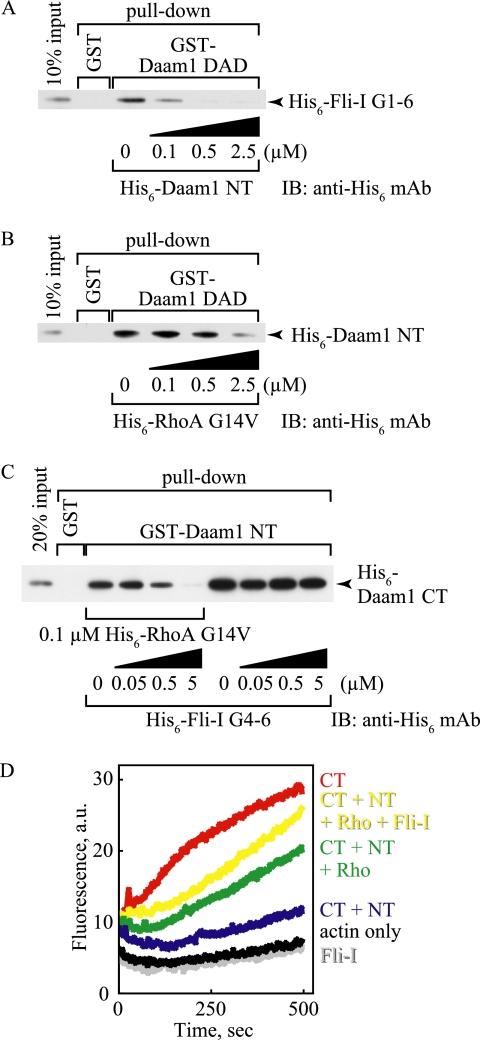https://cdn.ncbi.nlm.nih.gov/pmc/blobs/1b78/2871490/ef57ade34cbf/zbc0221015960006.jpg
