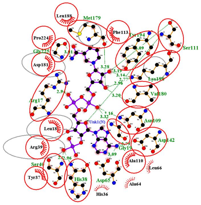 https://cdn.ncbi.nlm.nih.gov/pmc/blobs/1b7a/11768234/00e5428708a5/pharmaceuticals-18-00006-g003.jpg