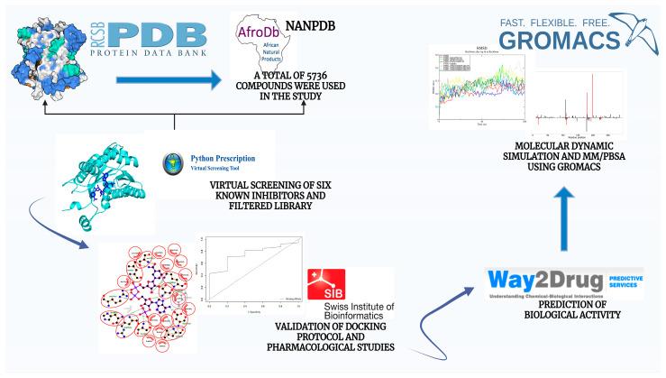https://cdn.ncbi.nlm.nih.gov/pmc/blobs/1b7a/11768234/311c004c29c2/pharmaceuticals-18-00006-g001.jpg