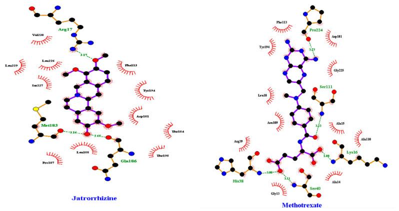 https://cdn.ncbi.nlm.nih.gov/pmc/blobs/1b7a/11768234/4c10fbe2f483/pharmaceuticals-18-00006-g007.jpg