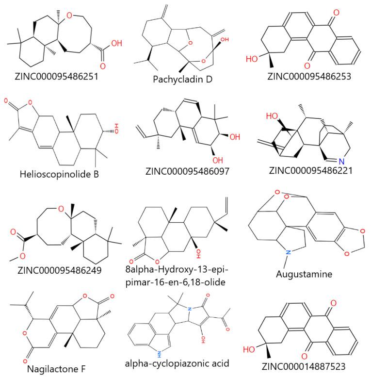 https://cdn.ncbi.nlm.nih.gov/pmc/blobs/1b7a/11768234/6bf00f198de9/pharmaceuticals-18-00006-g006.jpg