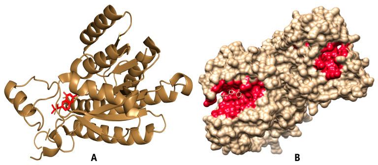 https://cdn.ncbi.nlm.nih.gov/pmc/blobs/1b7a/11768234/84f578ef947d/pharmaceuticals-18-00006-g002.jpg