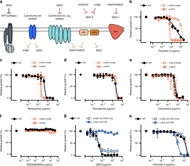 https://cdn.ncbi.nlm.nih.gov/pmc/blobs/1b7a/6823465/874cf582795c/41467_2019_12956_Fig6_HTML.jpg