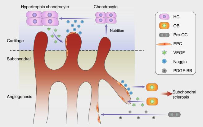 https://cdn.ncbi.nlm.nih.gov/pmc/blobs/1b7c/7969608/9081bb3d9382/41413_2021_147_Fig4_HTML.jpg